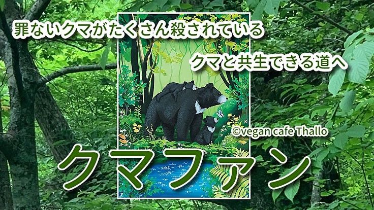 クマと森を守り隊！どんぐりすてーしょん　