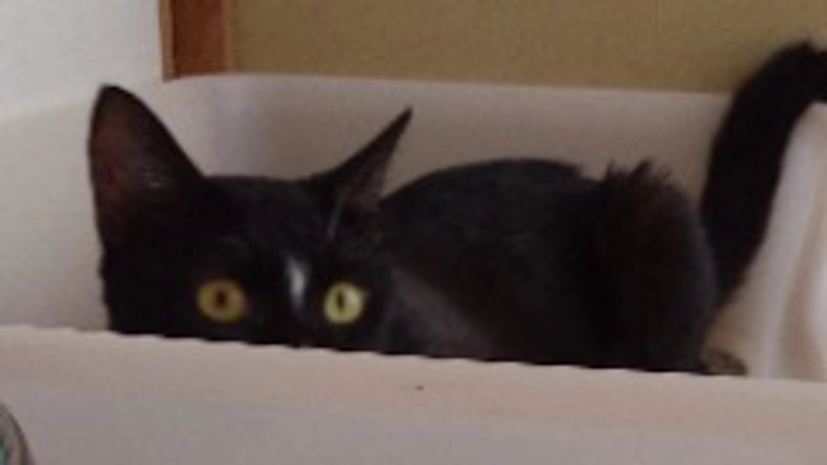 9/15はなちゃんの様子