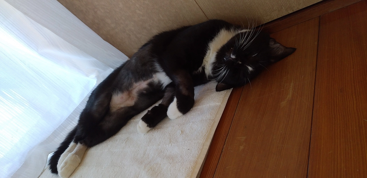 9/16はなちゃんの様子