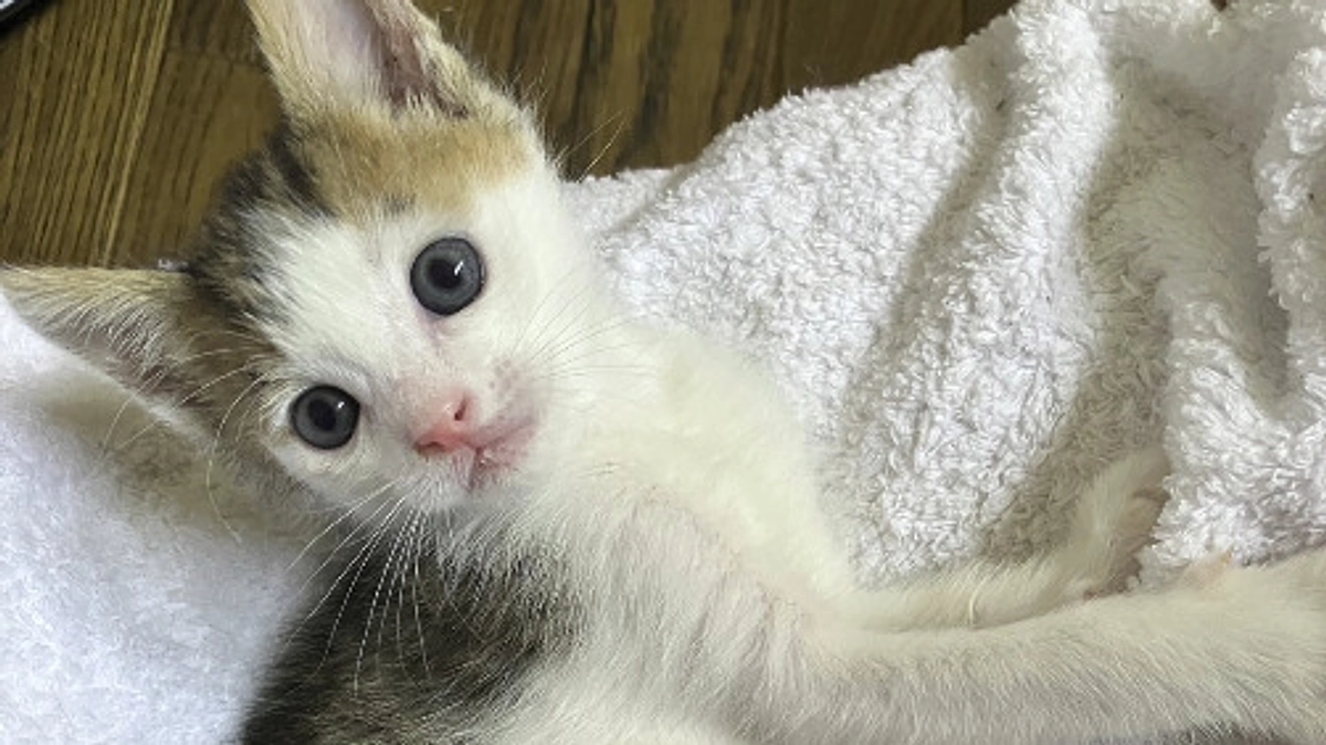 9月の中間報告！