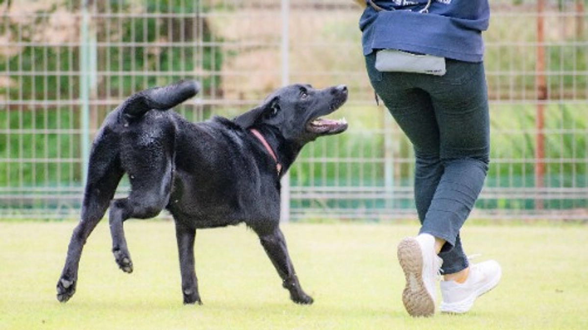 応援していただいた皆さまへ
