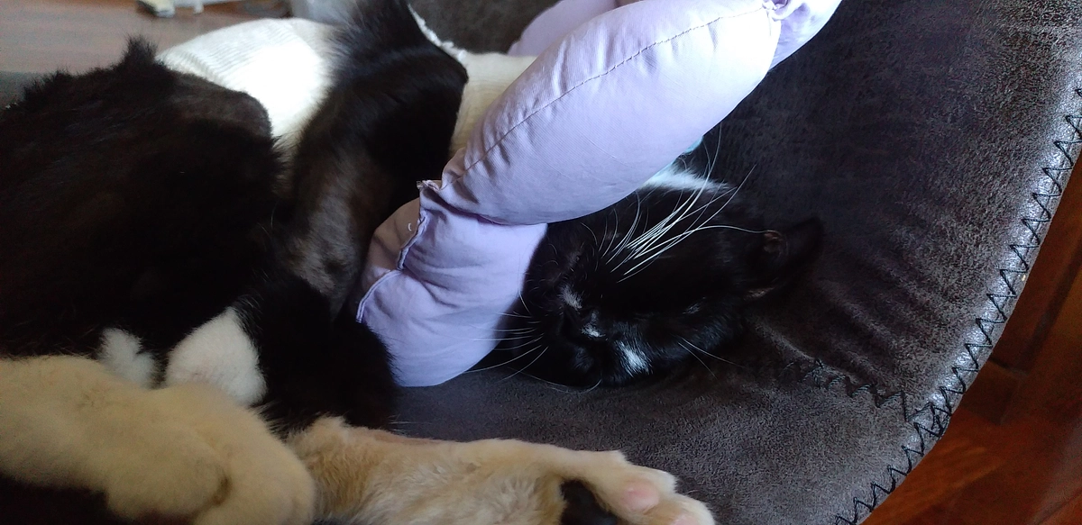 9/4はなちゃんの様子