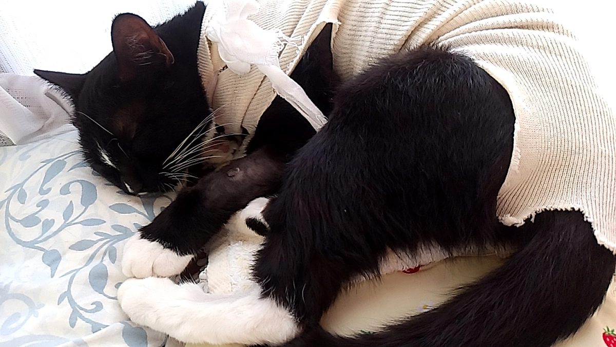 9/5はなちゃんの様子(発作あり)