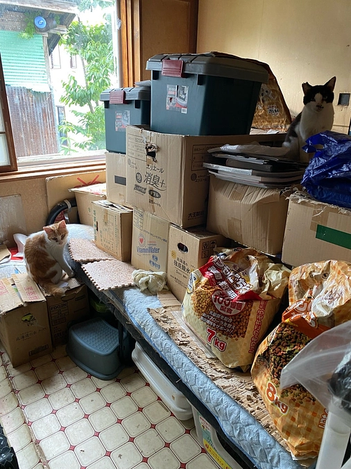 スタッフで掃除とレスキューへ《七飯町》《多頭飼育案件》②