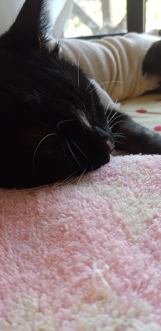 9/6はなちゃんの様子(発作あり)