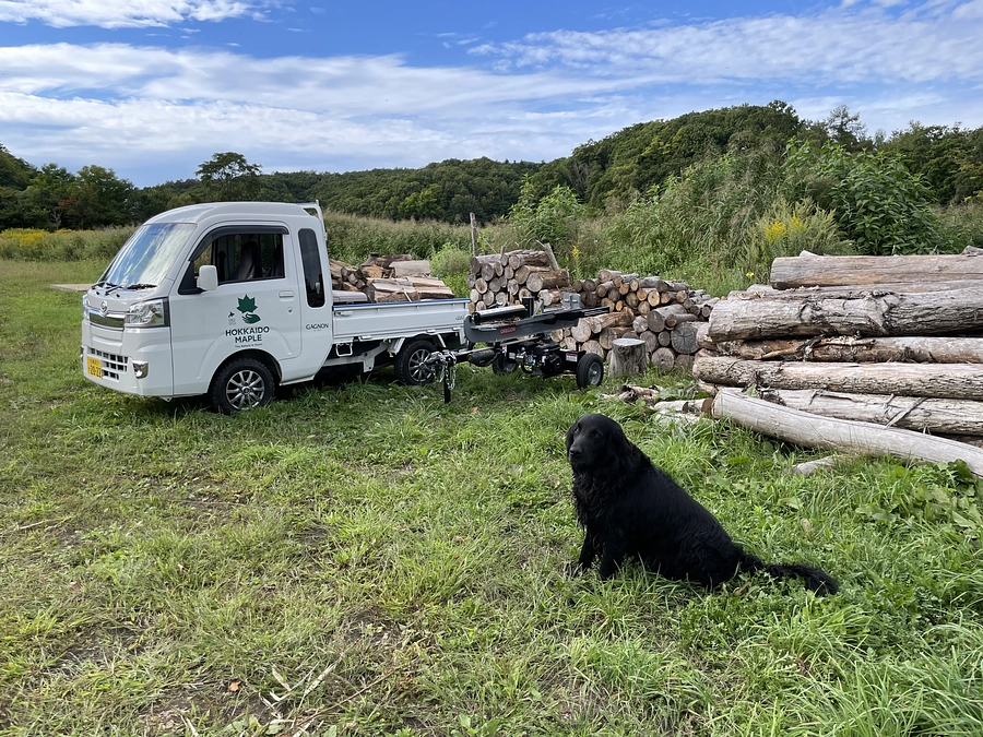 さて、現在の橋の様子です 