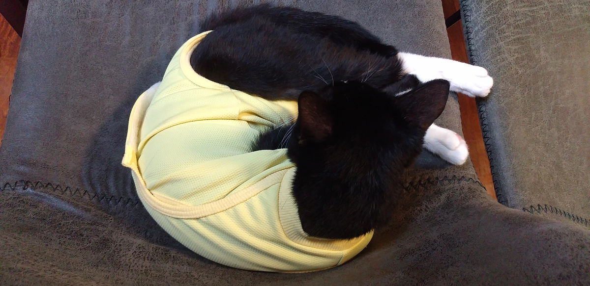 9/7はなちゃんの様子