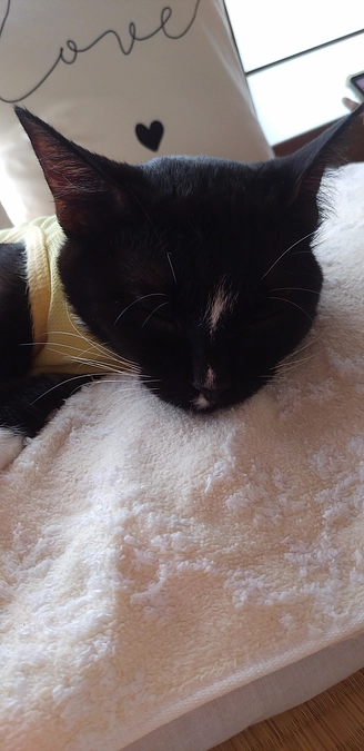 9/8はなちゃんの様子