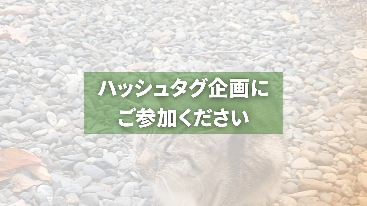 ハッシュタグ企画｜ひとりでも多くの方にプロジェクトが届くよう、ご参加をお願いします！