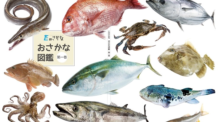 海の豊かさを守ろう!愛媛の魚食文化を伝えるおさかな図鑑を作りたい