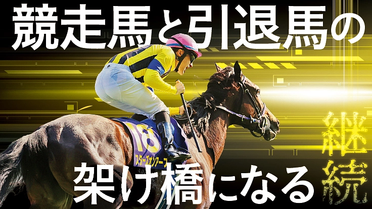 【競走馬と引退馬の架け橋になる】東映エージエンシー×TCC