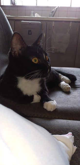 9/23はなちゃんの様子