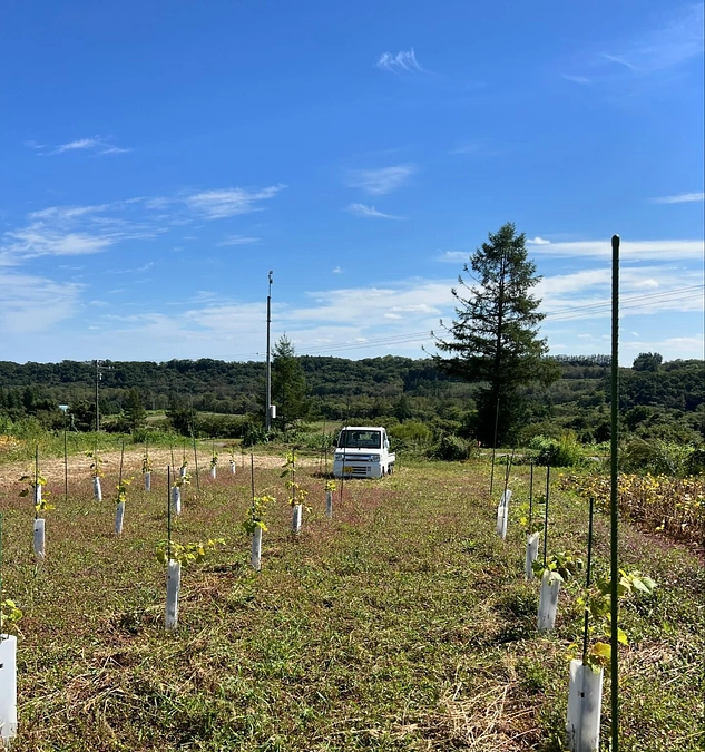 SEIZE THE DAY「THE WORLD」Report-15