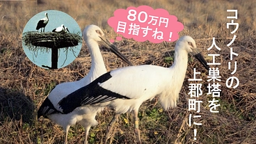 コウノトリが子育てに選んでくれた兵庫県上郡町に人工巣塔を建てたい！ のトップ画像