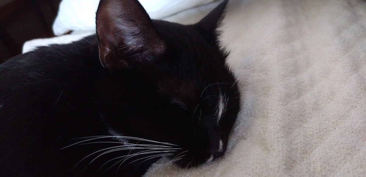 9/25【プロジェクト達成のお礼とご報告】