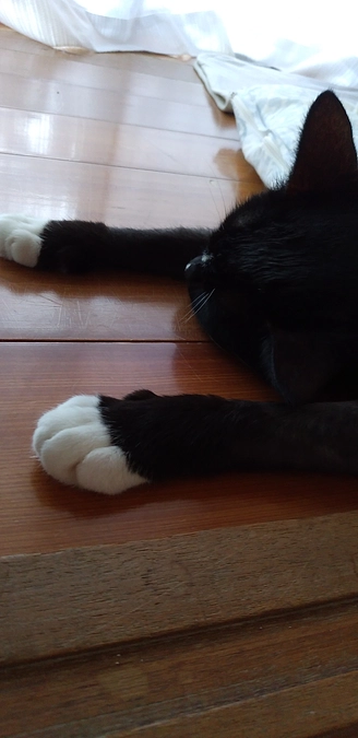 9/25はなちゃんの様子