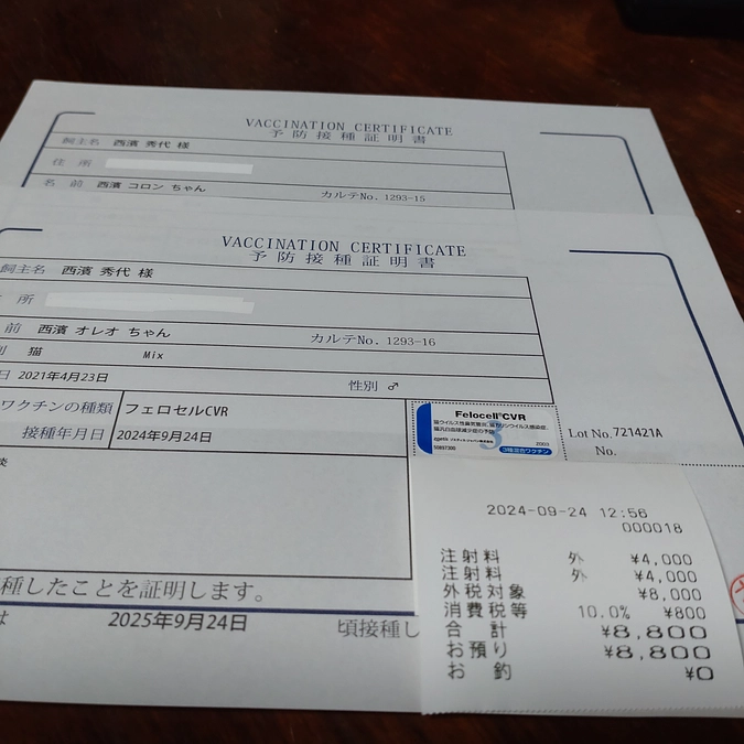 ワクチン接種💉