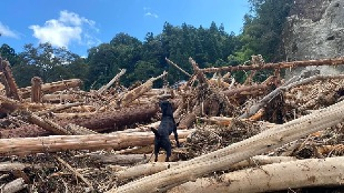 【能登半島豪雨　災害救助犬活動報告③】