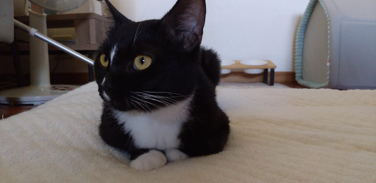 9/26はなちゃんの様子