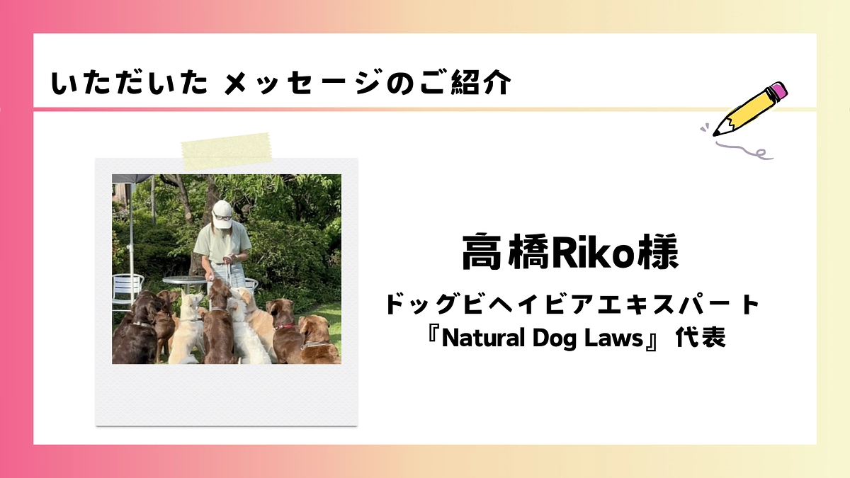 いただいた応援メッセージのご紹介｜高橋Riko様