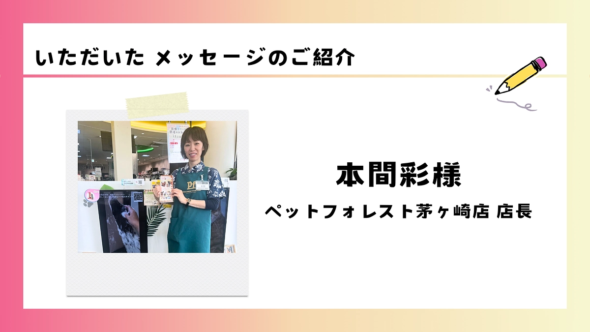 いただいた応援メッセージのご紹介｜本間彩様