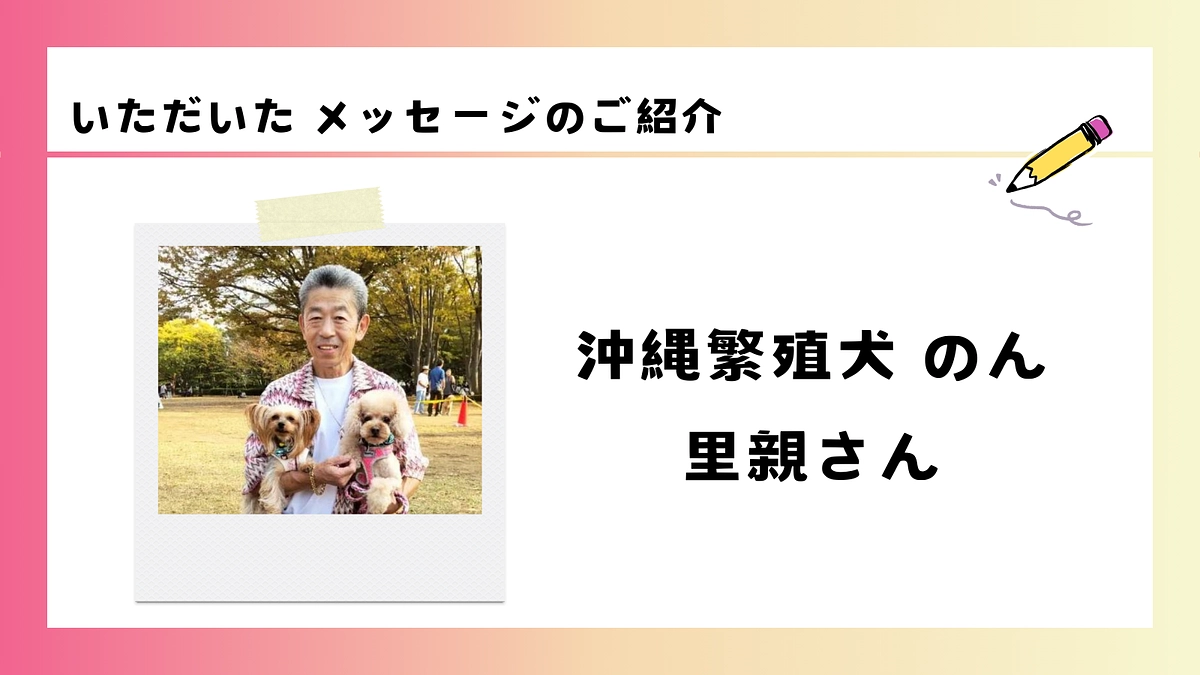 いただいた応援メッセージのご紹介｜沖縄繁殖犬 のん里親さん