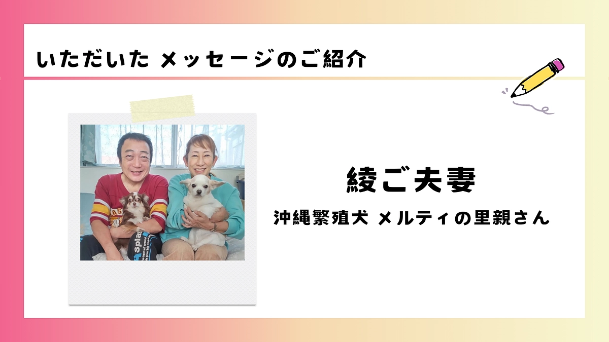 いただいた応援メッセージのご紹介｜綾ご夫妻