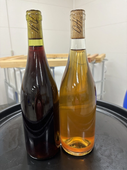 【九十九里産ブドウで造ったワイン『2本セット』】にてご支援いただきました皆様へ