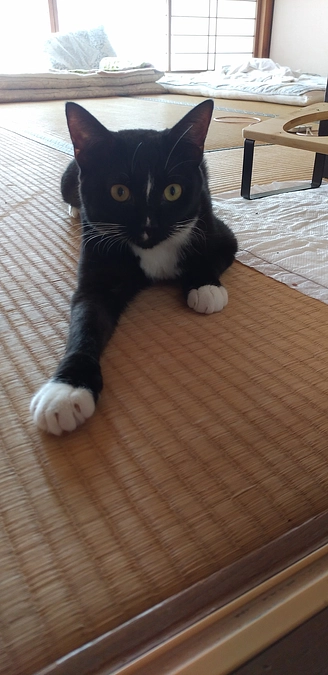 9/28はなちゃんの様子＆報告