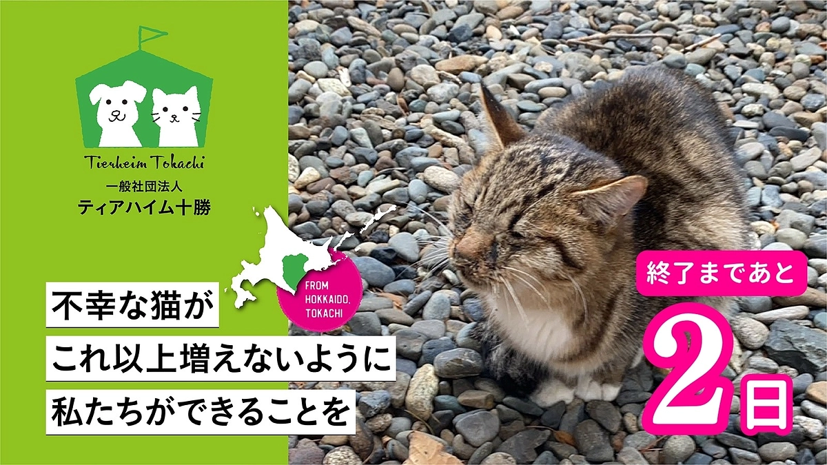 医療協力中の「小太郎」