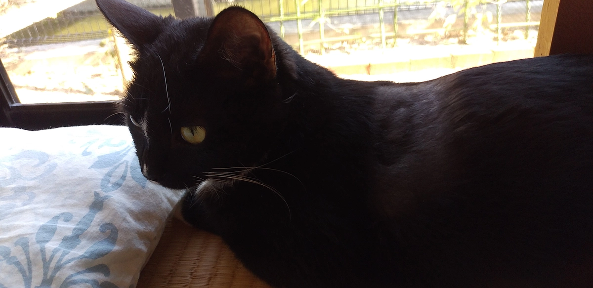 9/29はなちゃんの様子