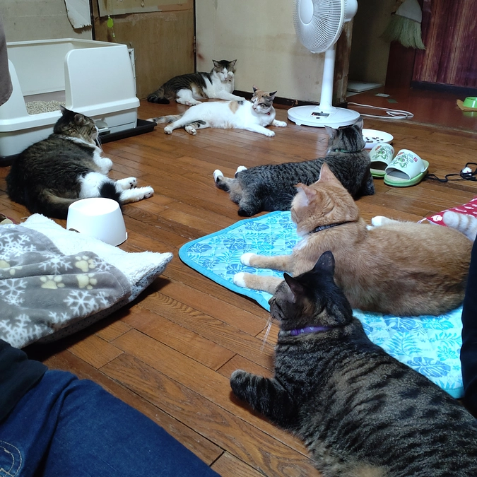 守られている⁈😅