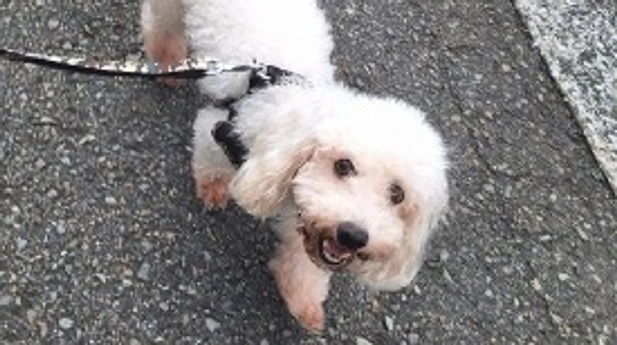 2024年7月・8月の収支報告と近況報告