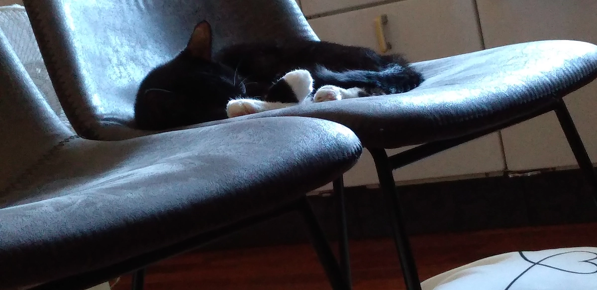 9/17はなちゃんの様子