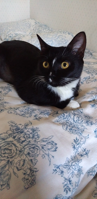 9/19はなちゃんの様子