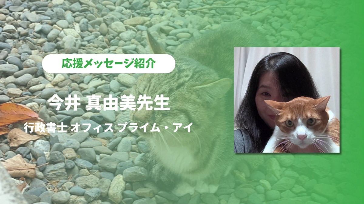 行政書士の今井真由美先生より応援メッセージをいただきました