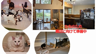 小さな命を守り続けていくため…KING CAT オープンへ力を‥ のトップ画像