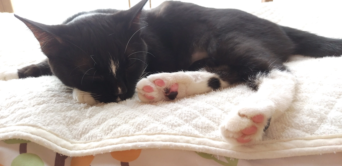 9/20はなちゃんの様子＆お礼とご報告