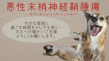 【悪性末梢神経鞘腫瘍】と闘うボスを助けてください‼️ のトップ画像