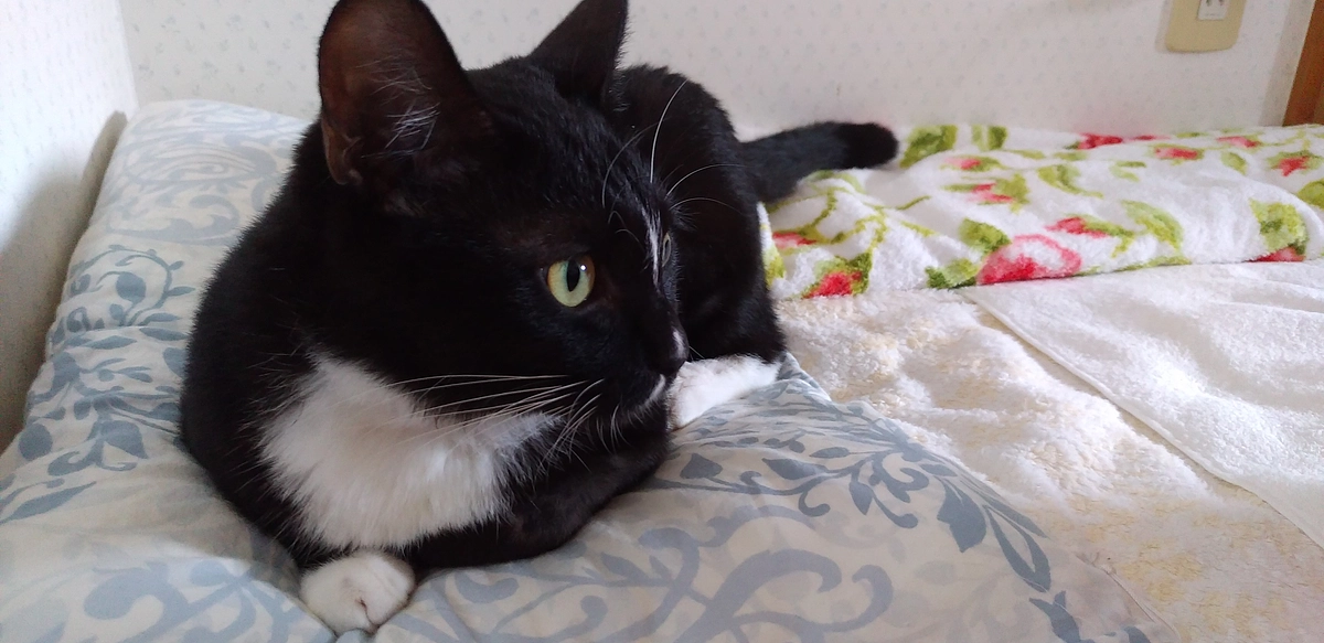 9/21はなちゃんの様子