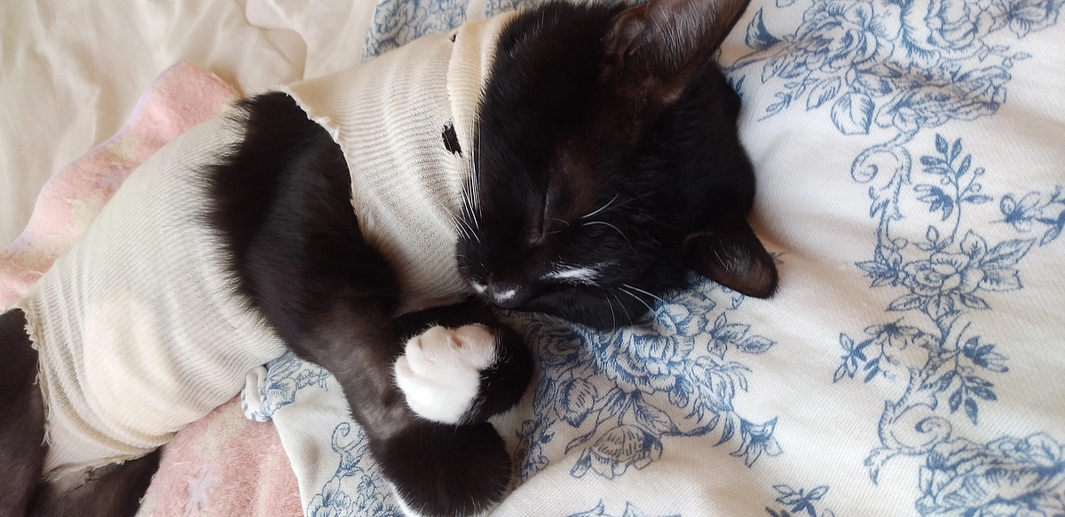 プロジェクト達成のご報告✨