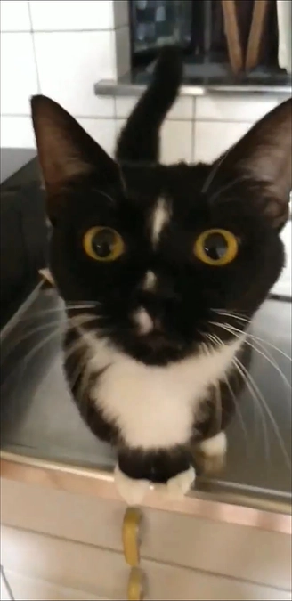 10/4はなちゃんの様子