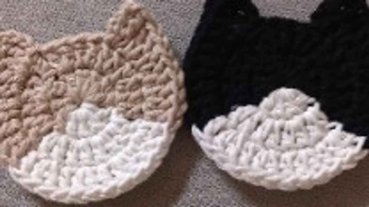 10/4はなちゃんの様子とご報告②