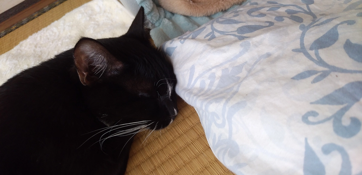 10/5はなちゃんの様子