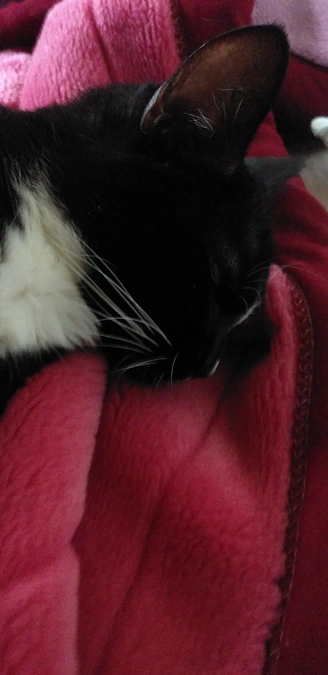 10/6はなちゃんの様子