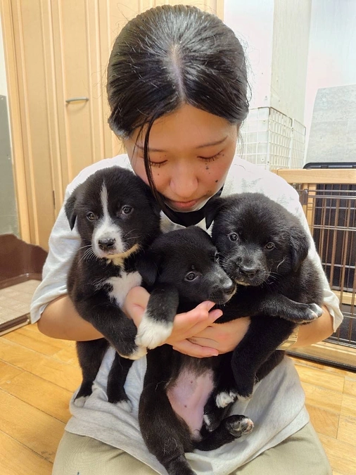 ボランティアの胸のうち⑤ 命を迎えるということは