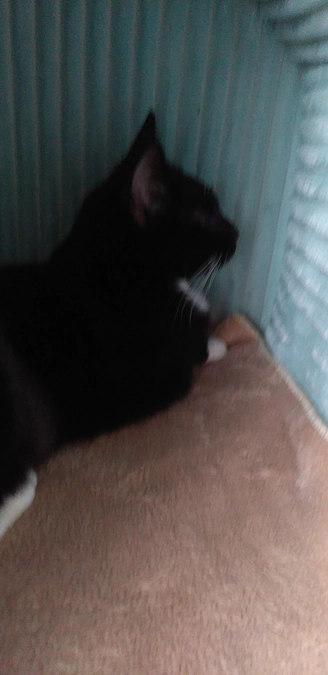 10/7はなちゃんの様子