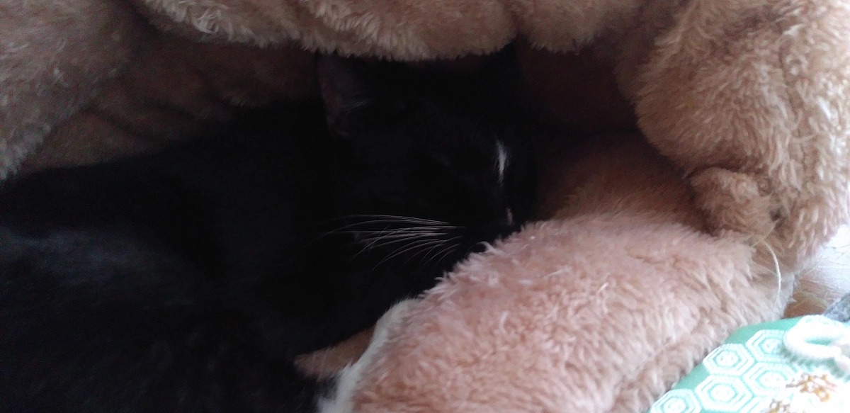 10/8はなちゃんの様子(発作あり)