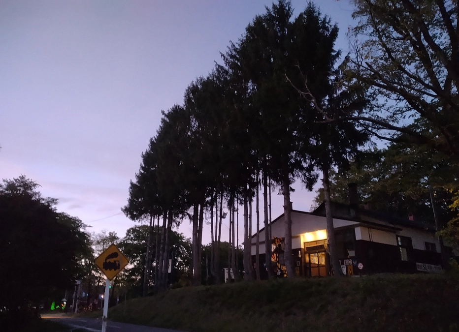 入換動車の動いてる動画を教えていただきました。