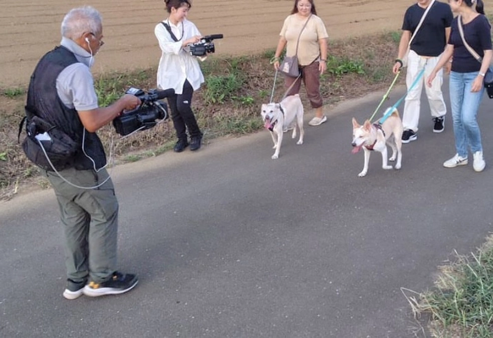 現在、テレビ取材を受けています。